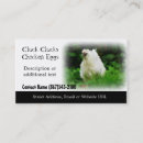 Buscar pollo tarjetas de visita Gallina