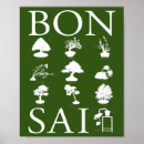 Buscar árbol japonés posters Planta