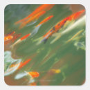 Buscar estanque de peces pegatinas Exterior