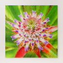 Buscar digitales puzzles Fotografía