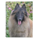 Buscar tervuren Perrito