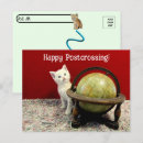 Buscar gatos lindos fotografía Gatito