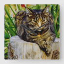 Buscar actitudes relojes de pared Naturaleza