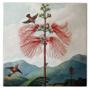 Buscar plantas florecientes azulejos Para todos