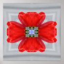 Buscar tulipán rojo y blanco posters Floral