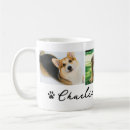 Buscar mascota lindo tazas General y unisex