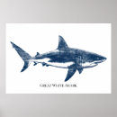Buscar gran tiburón blanco posters Mar