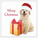 Buscar golden retriever pegatinas Adorable