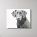 Buscar pintura del perro lienzos Labrador