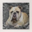 Buscar raza del perro puzzles Divertido