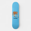 Buscar mono tablas de skate 7 º raspa