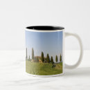 Buscar siena tazas Italy
