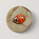 Buscar mariquitas chapas Naturaleza