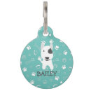 Buscar terrieres mascotas Bull terrier