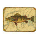 Buscar pesca imanes Río