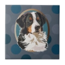 Buscar bernese azulejos Montaña