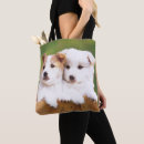 Buscar comportamiento fotografía Animales lindos