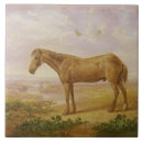 Buscar envejecido azulejos Viejo