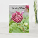 Buscar mum tarjetas Día de la madre