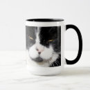 Buscar cattitude tazas Café