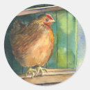 Buscar gallinero pegatinas Gallina