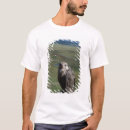 Buscar de falco camisetas Tierra pública