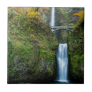 Buscar cascadas azulejos Chuck haney