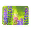Buscar pinturas originales imanes Flor