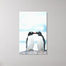 Buscar pingüino lindo lienzos Animal