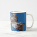 Buscar pit bull tazas Amante de los perros