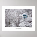 Buscar alimentador posters Invierno