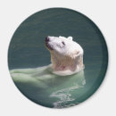 Buscar polar imanes Cachorro