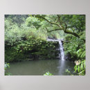 Buscar tropical rainforest arte Hawaii