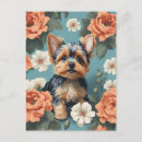 Buscar yorkshire terrier postales Cachorro