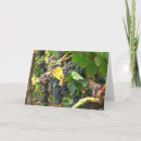 Buscar uvas púrpuras tarjetas Fruta