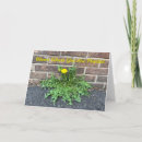 Buscar mensaje positivo tarjetas Ánimo