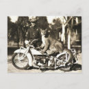 Buscar puma postales Vintage