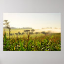 Buscar pino posters Horizontal