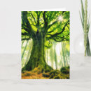 Buscar tronco de árbol tarjetas Maderas