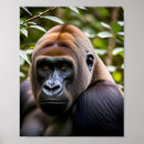 Buscar gorila posters Naturaleza