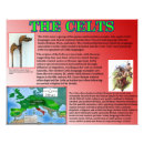 Buscar irlanda posters Antiguo