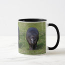 Buscar hippopotamuses tazas Hippopotami