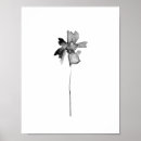 Buscar mancha de tinta posters General y unisex