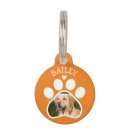 Buscar digital collares Perros