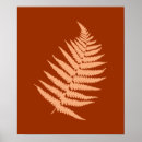 Buscar helecho posters Elegante
