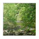 Buscar naturaleza azulejos Paisaje