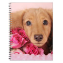 Buscar peludas cuadernos Perro