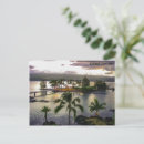 Buscar palmeras del coco postales Océano