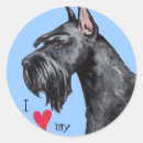 Buscar schnauzer gigante pegatinas Para todos