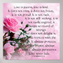 Buscar el amor es paciente posters Tipografía